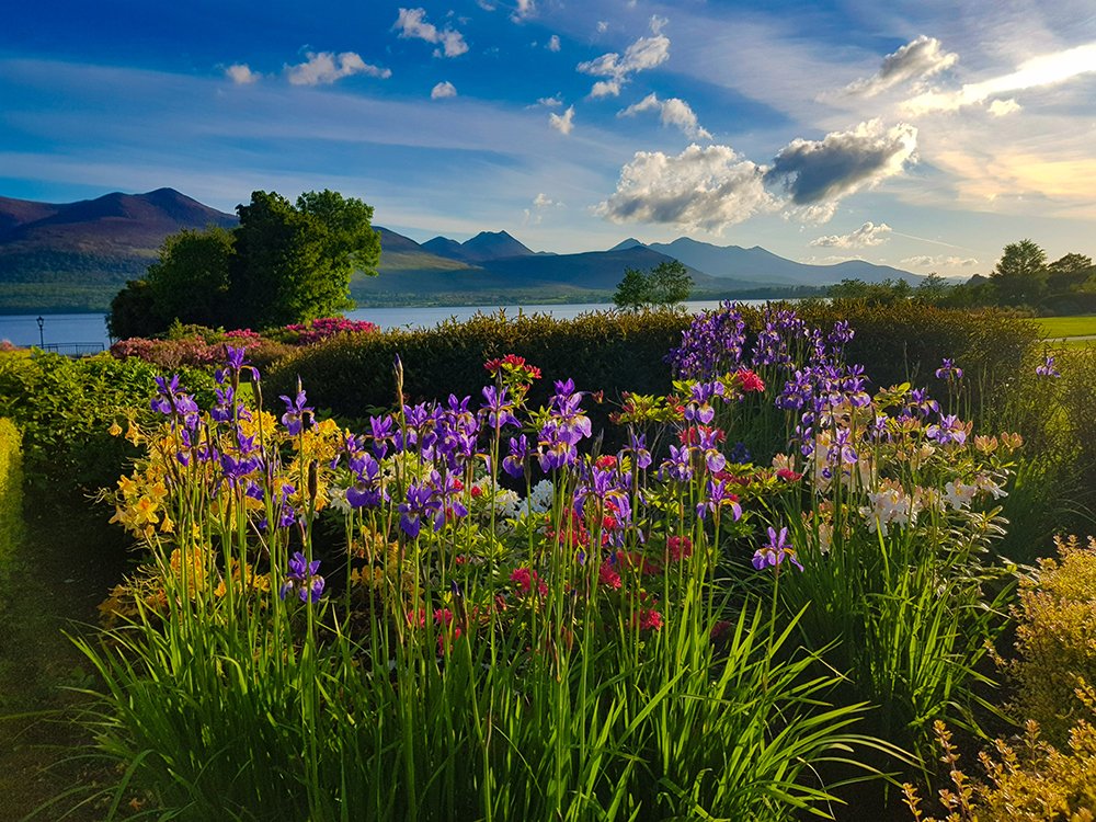 Open Spaces In Killarney